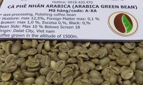 Cà phê nhân Arabica